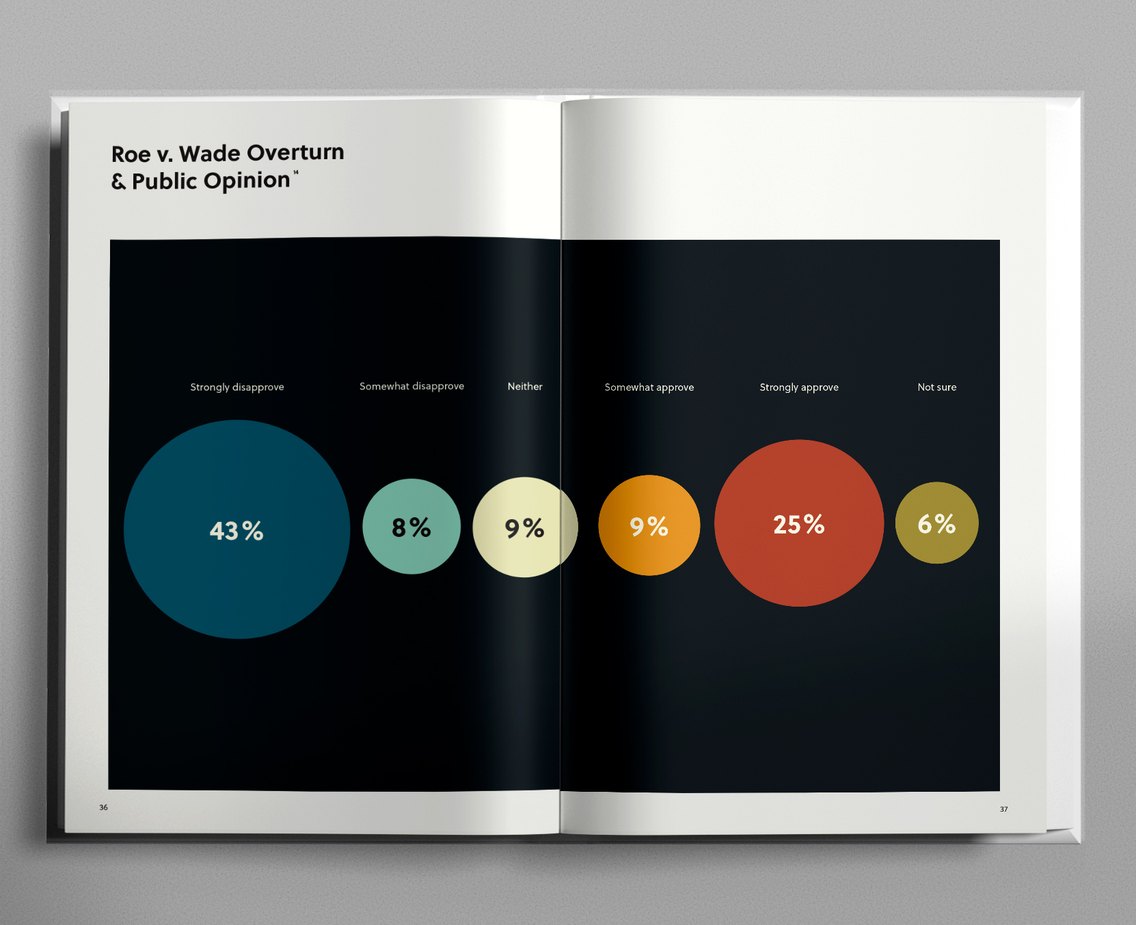 Book spread: Roe v. Wade overturn and public opinion